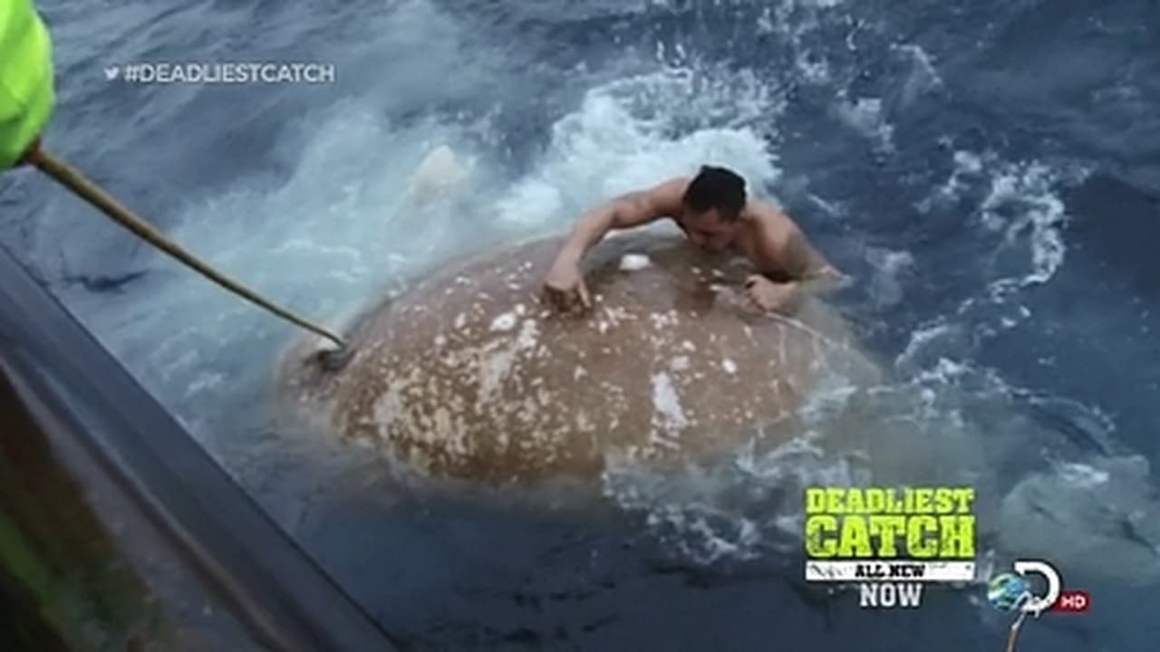 Deadliest Catch - Season 9 Episode 15 : Man Overboard