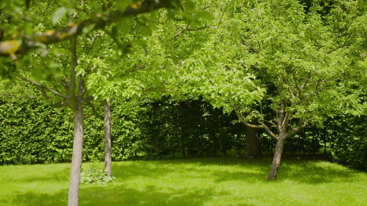 Natur im Garten - Season 26 Episode 10 : Episode 10