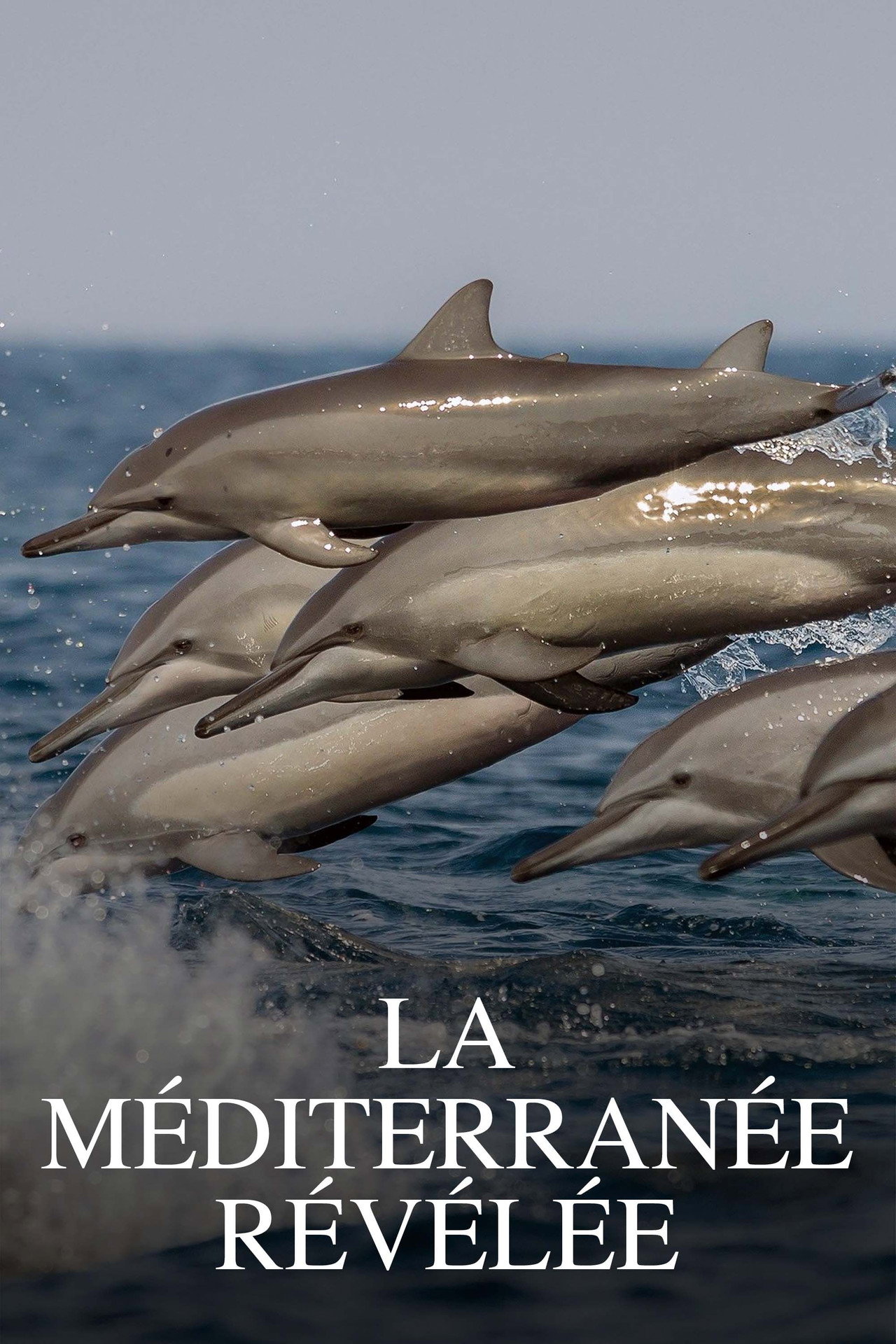 La Méditerranée révélée affisch