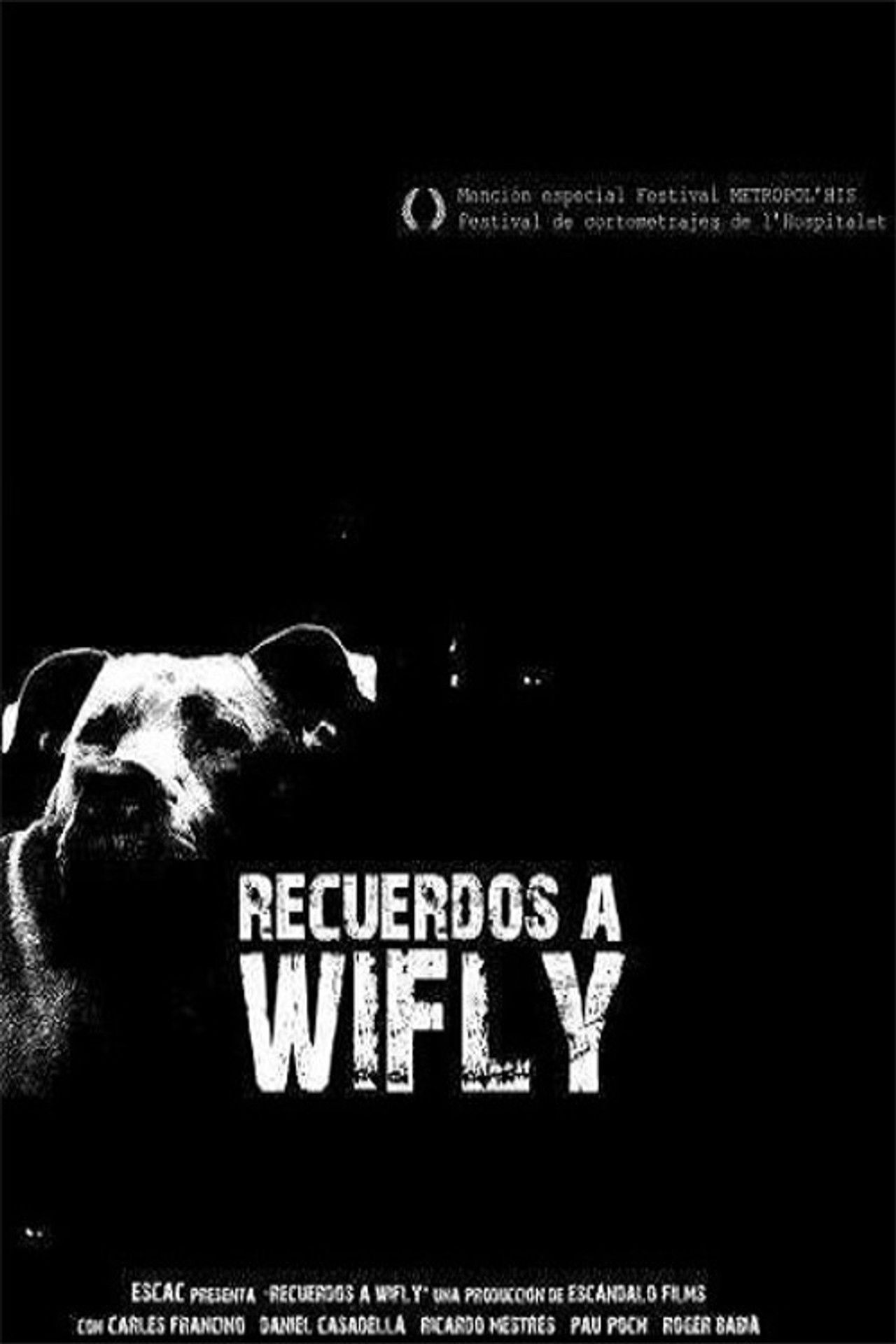 Recuerdos a Wifly Backdrop