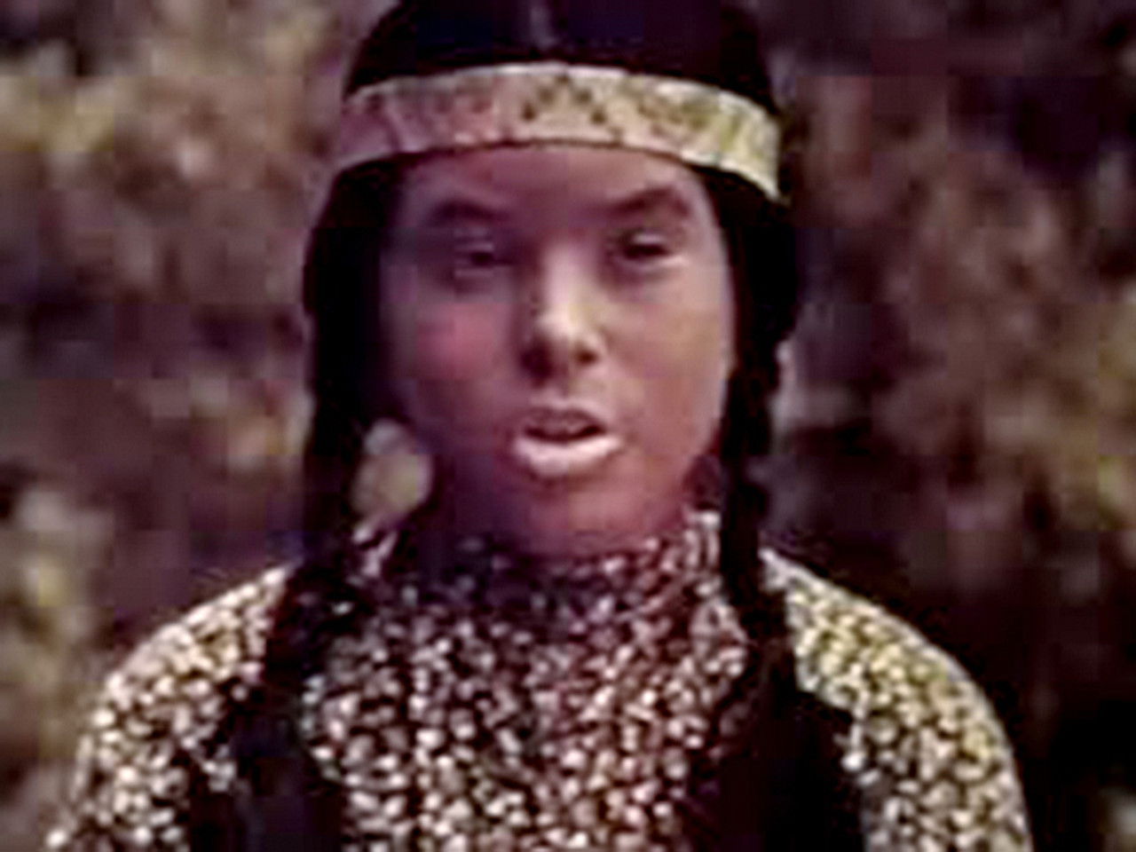 Mon amie Flicka — Le Petit Indien