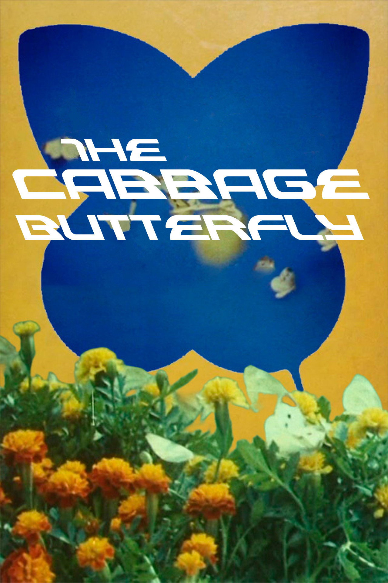The Cabbage Butterfly
