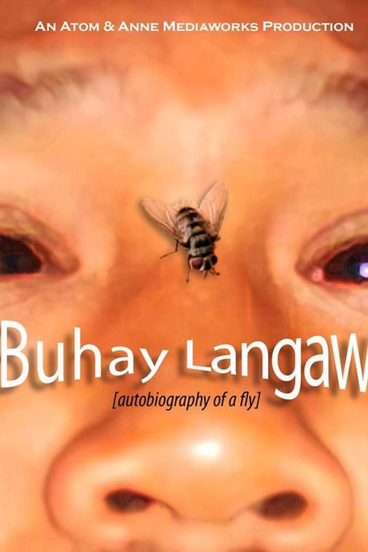 Buhay Langaw filmaffisch