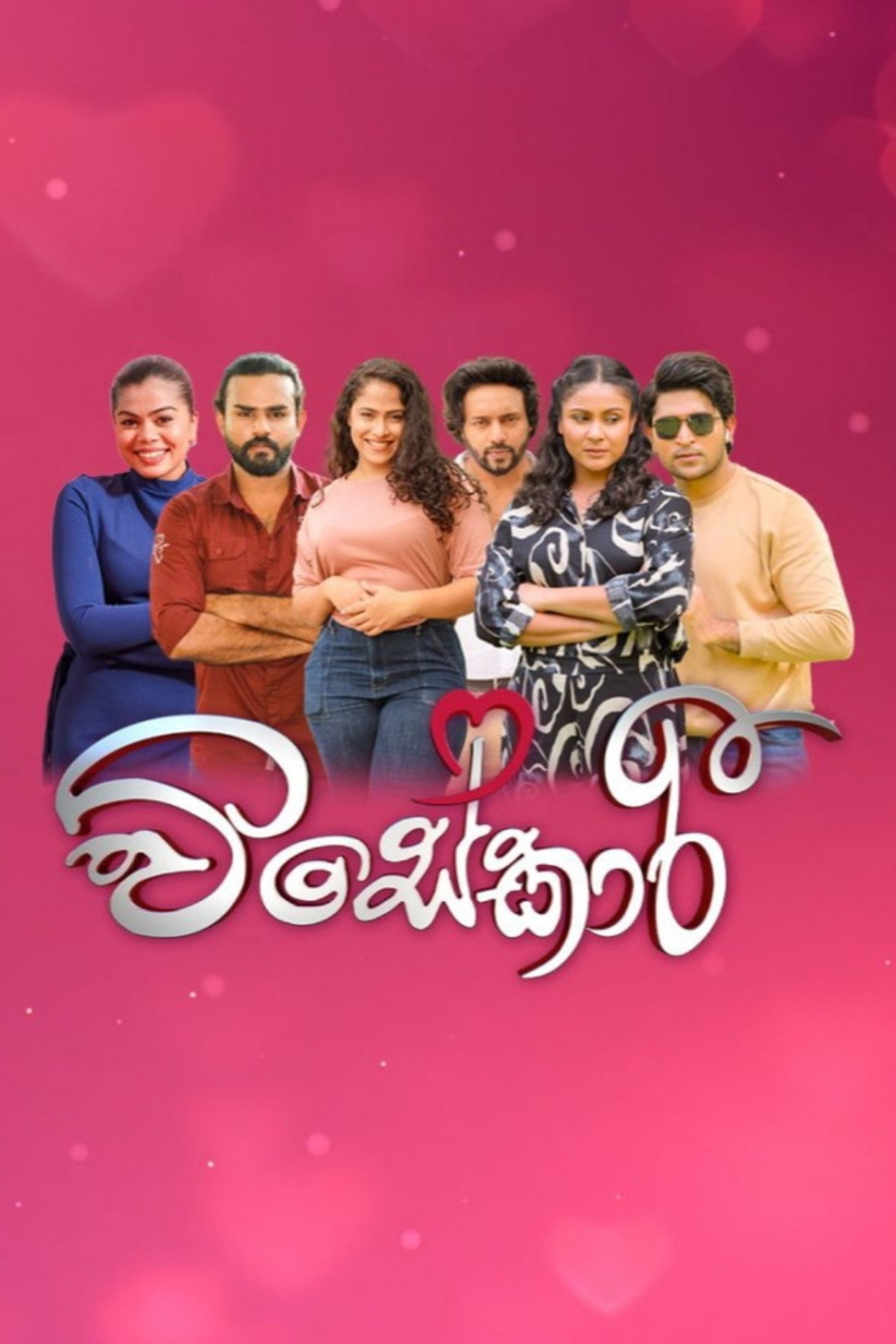 Visekari poster