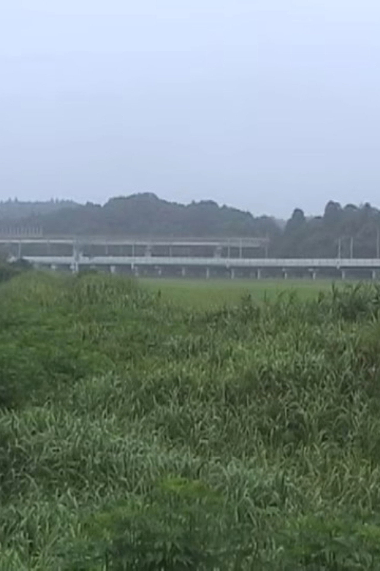 Narita Morning