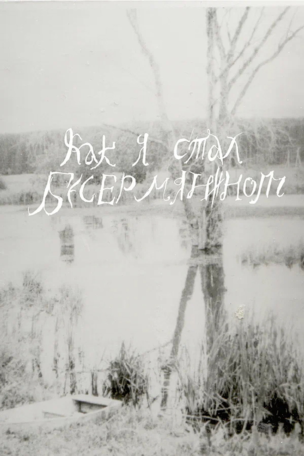 Как я стал бесермянином filmaffisch