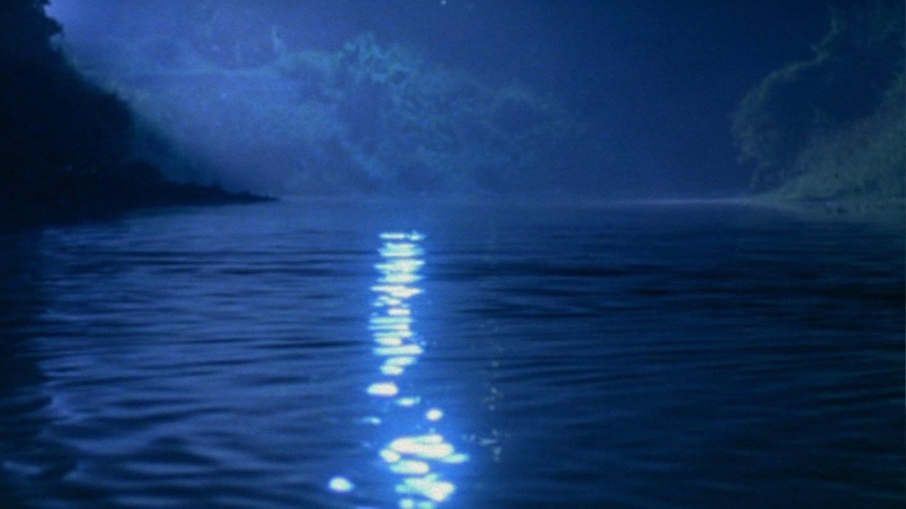 水の中の八月