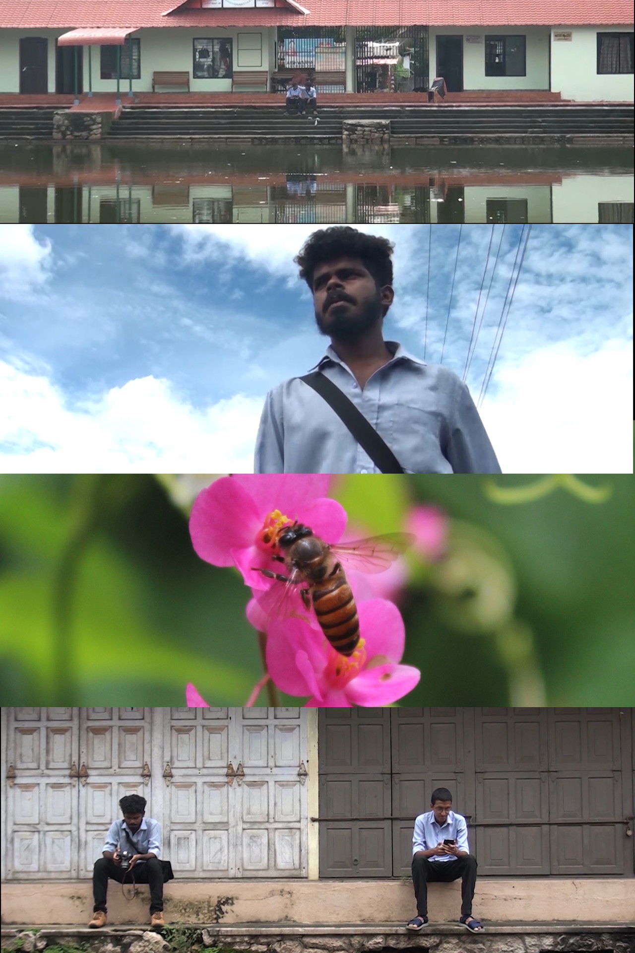 THE PHOTOGRAPHER Backdrop