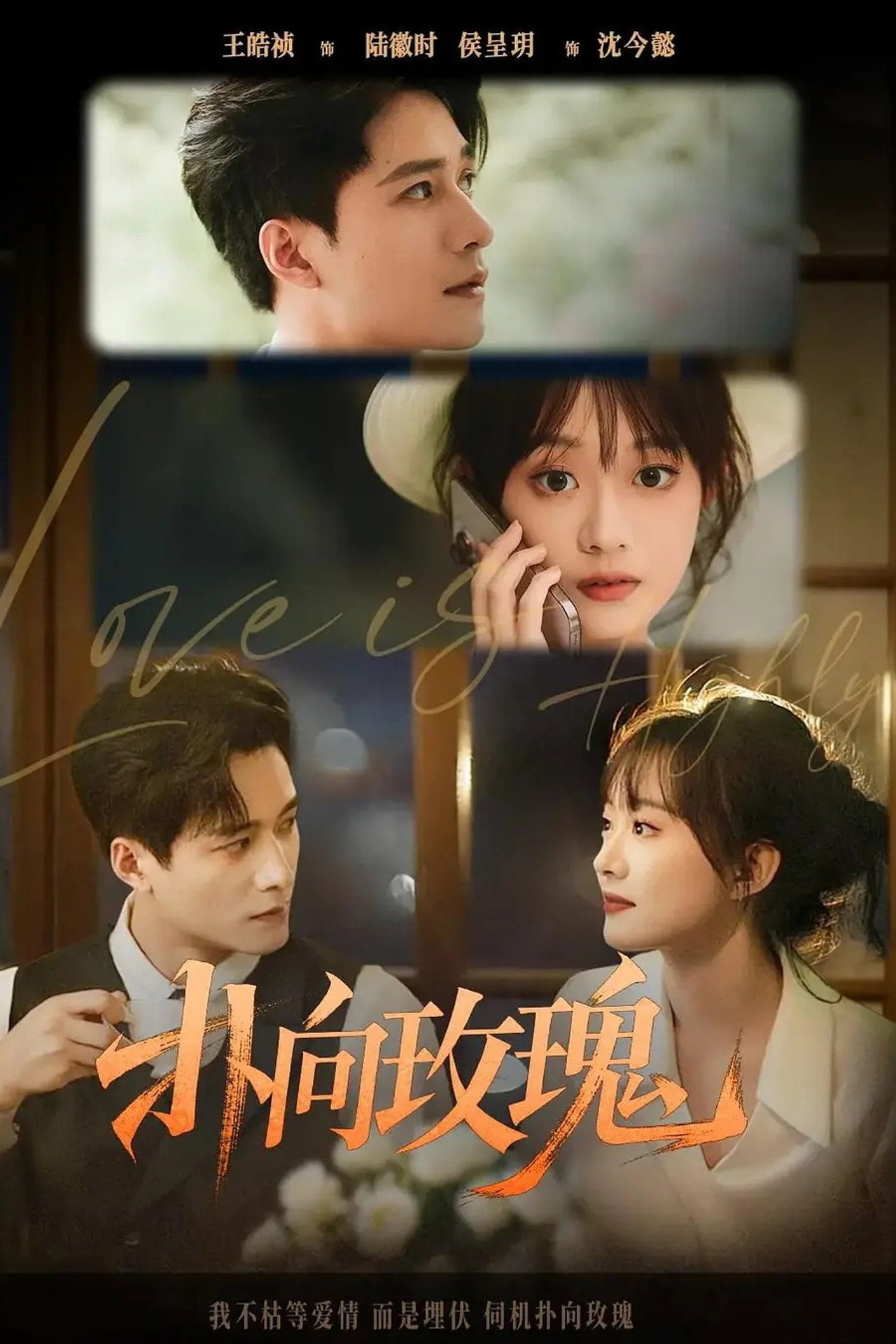 扑向玫瑰