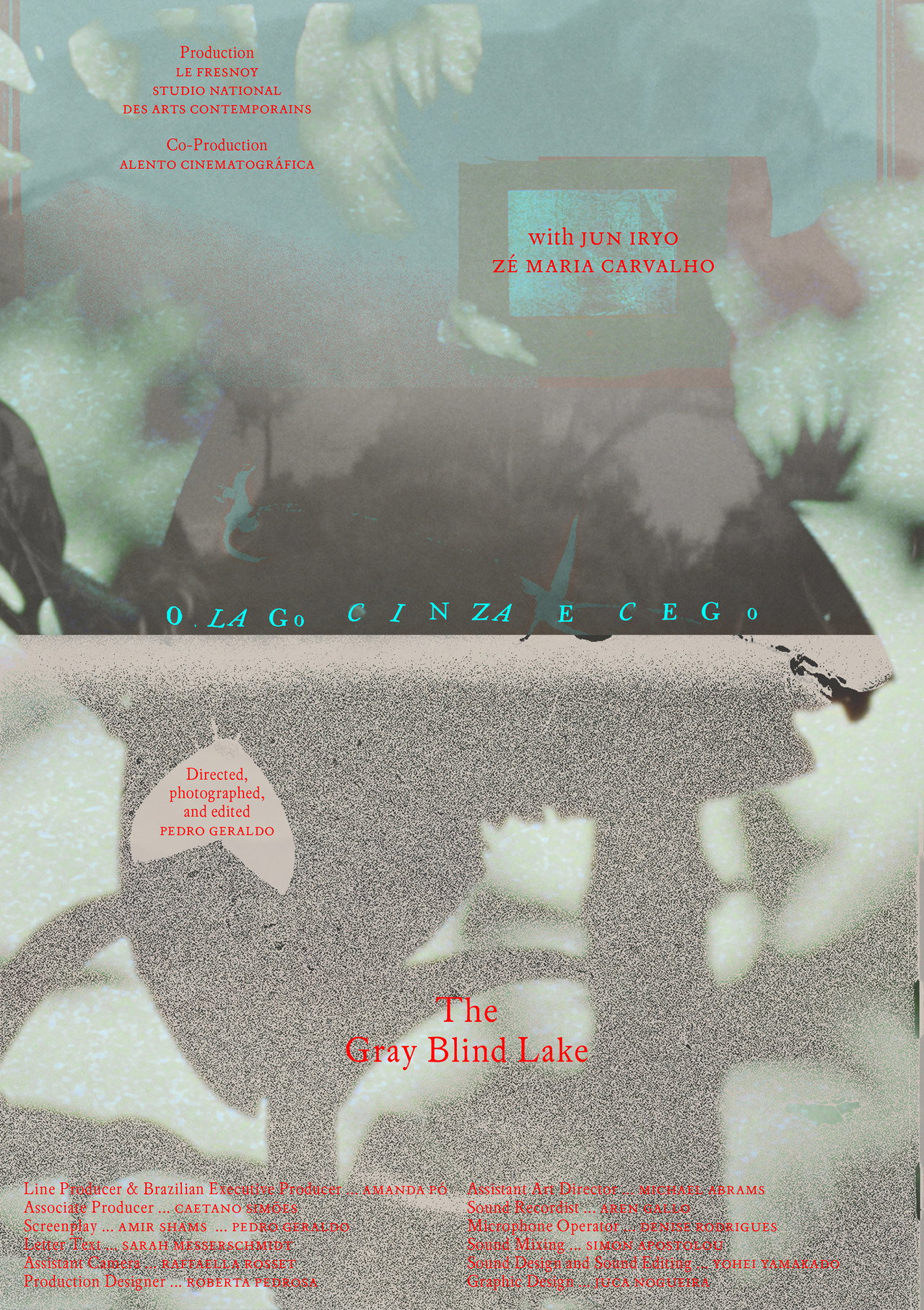 The Gray Blind Lake