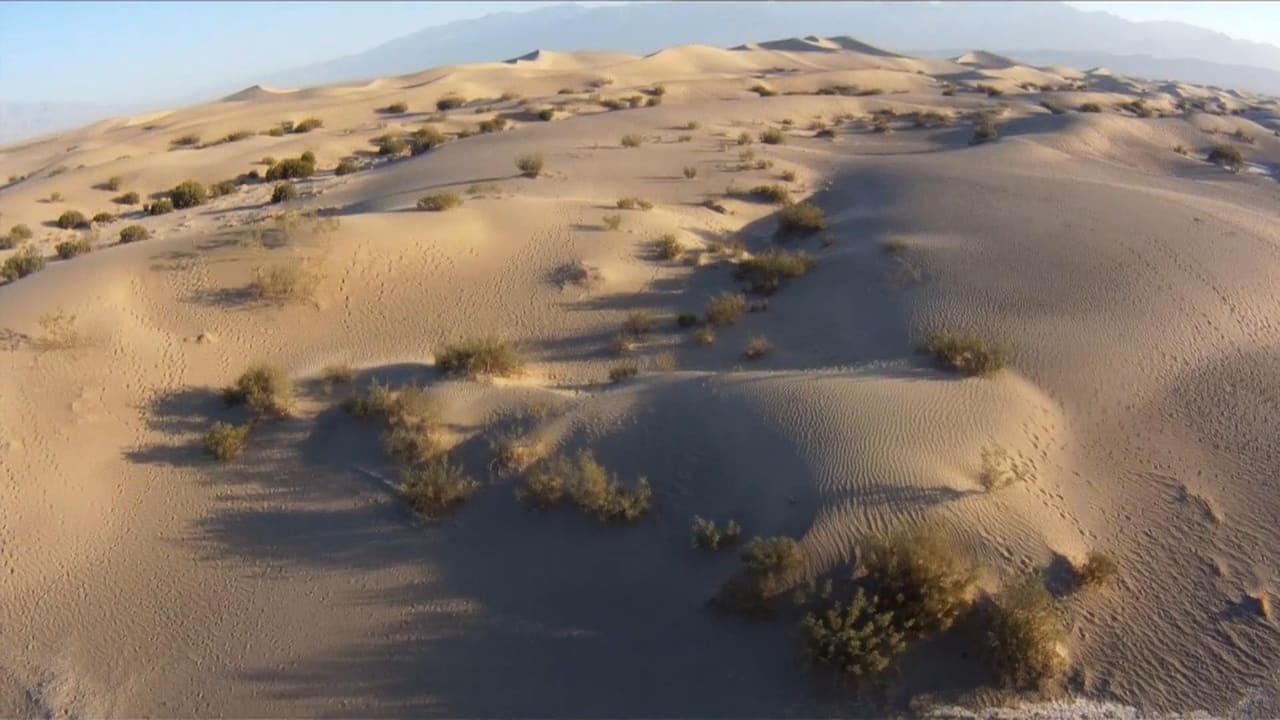 The Women in the Sand background