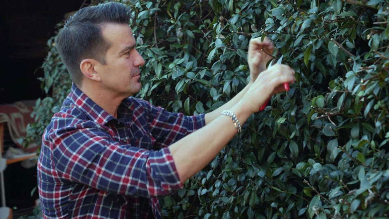 Cortesie per gli ospiti — Épisode 8