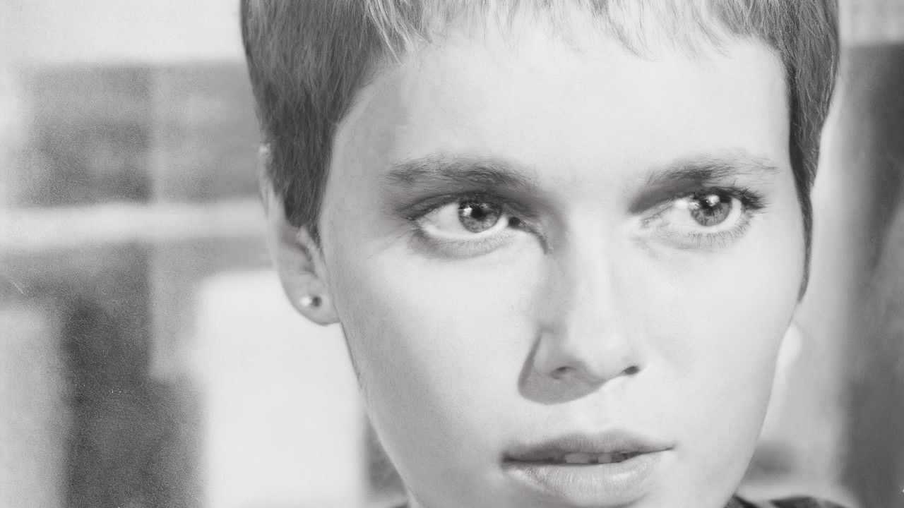 Peyton Place — Épisode 99