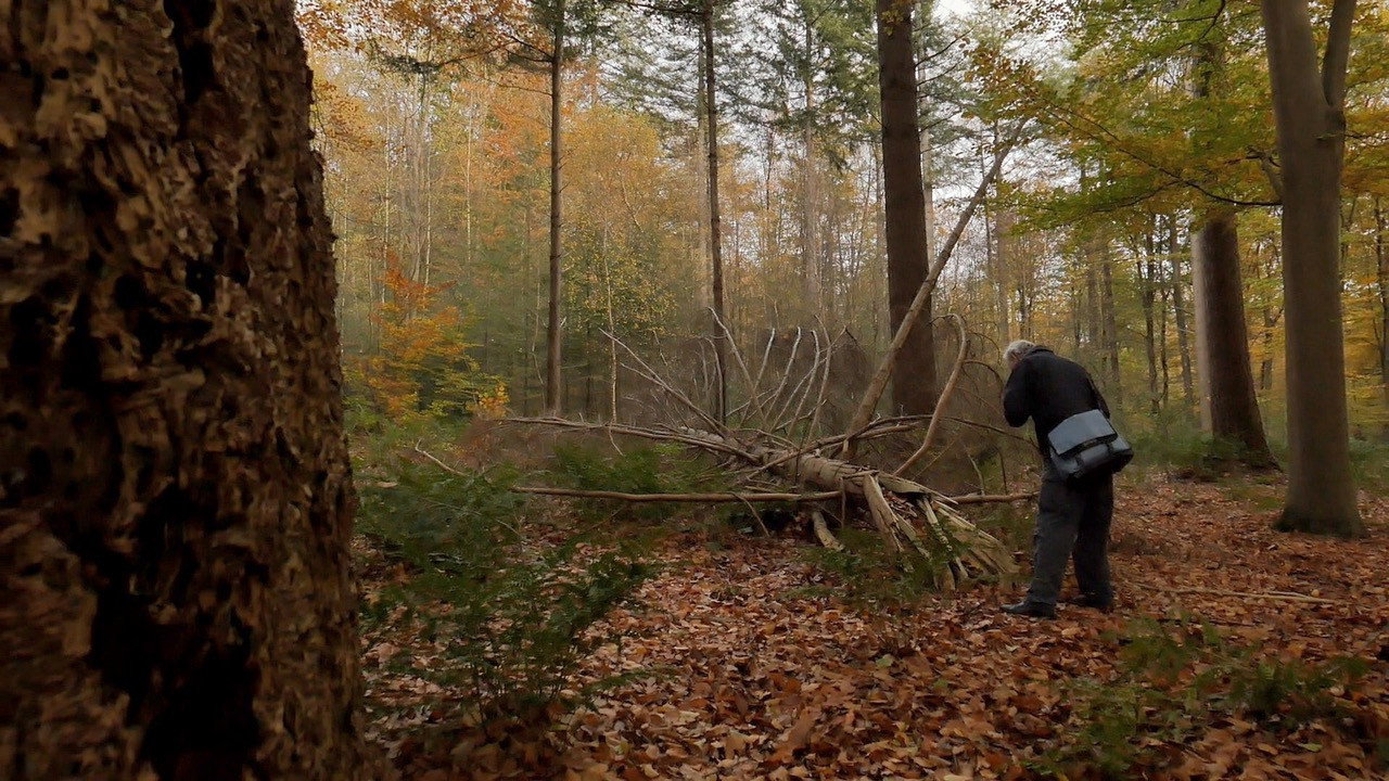 Immagine di copertina del trailer di Creating things is the best