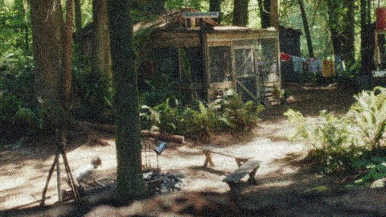 Captain Fantastic background 113