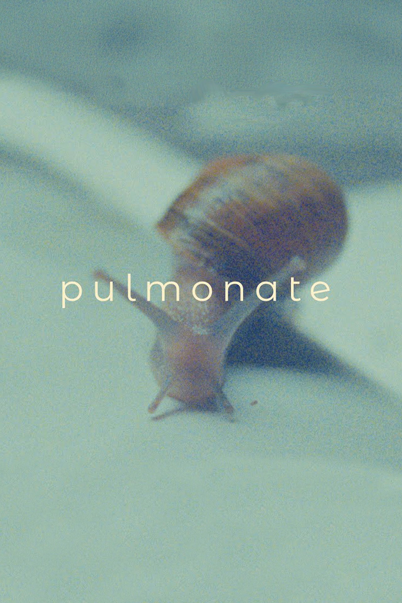 Pulmonate Backdrop
