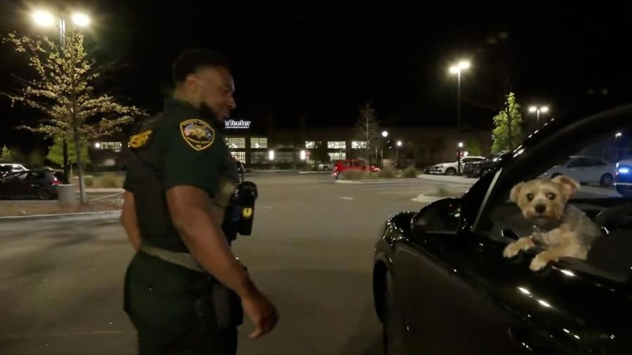 On Patrol: Live — Épisode 69