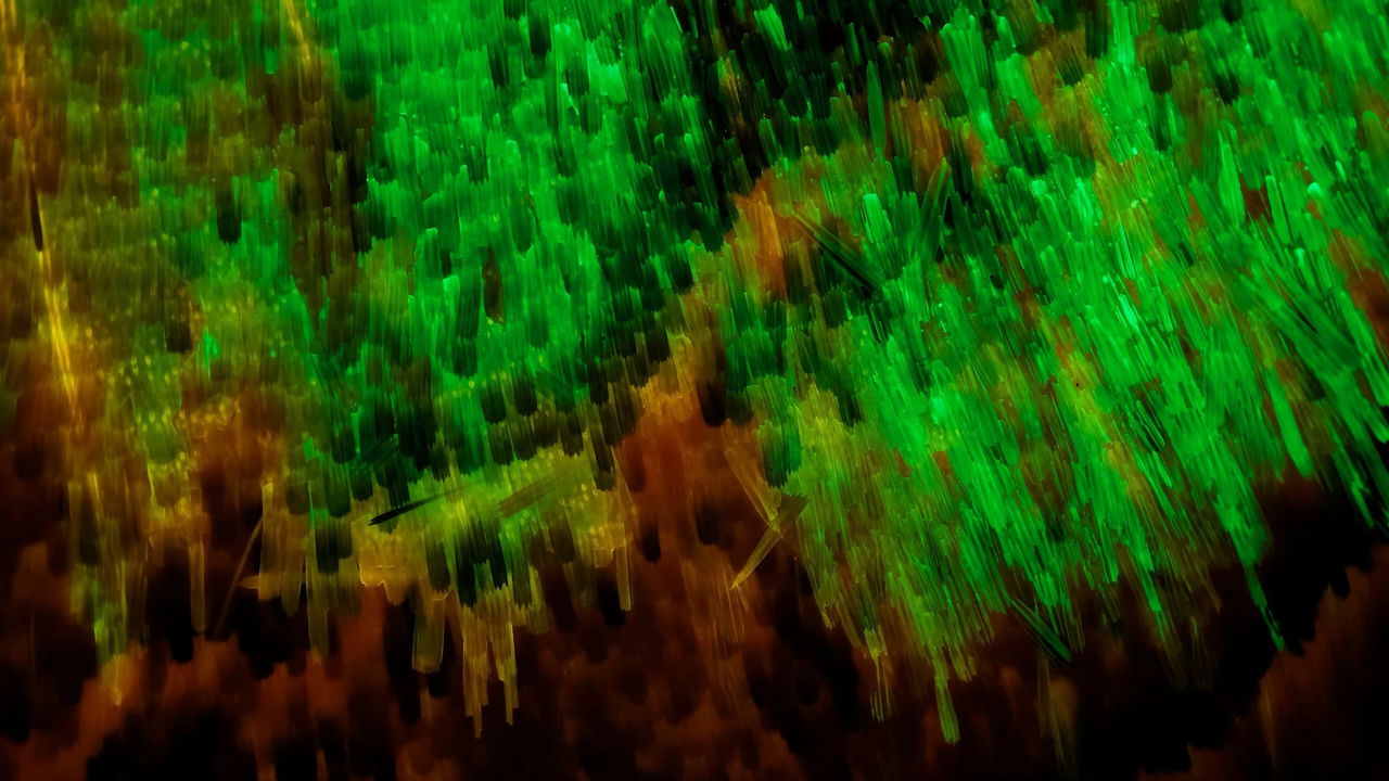 Journey to the Microcosmos — Épisode 17