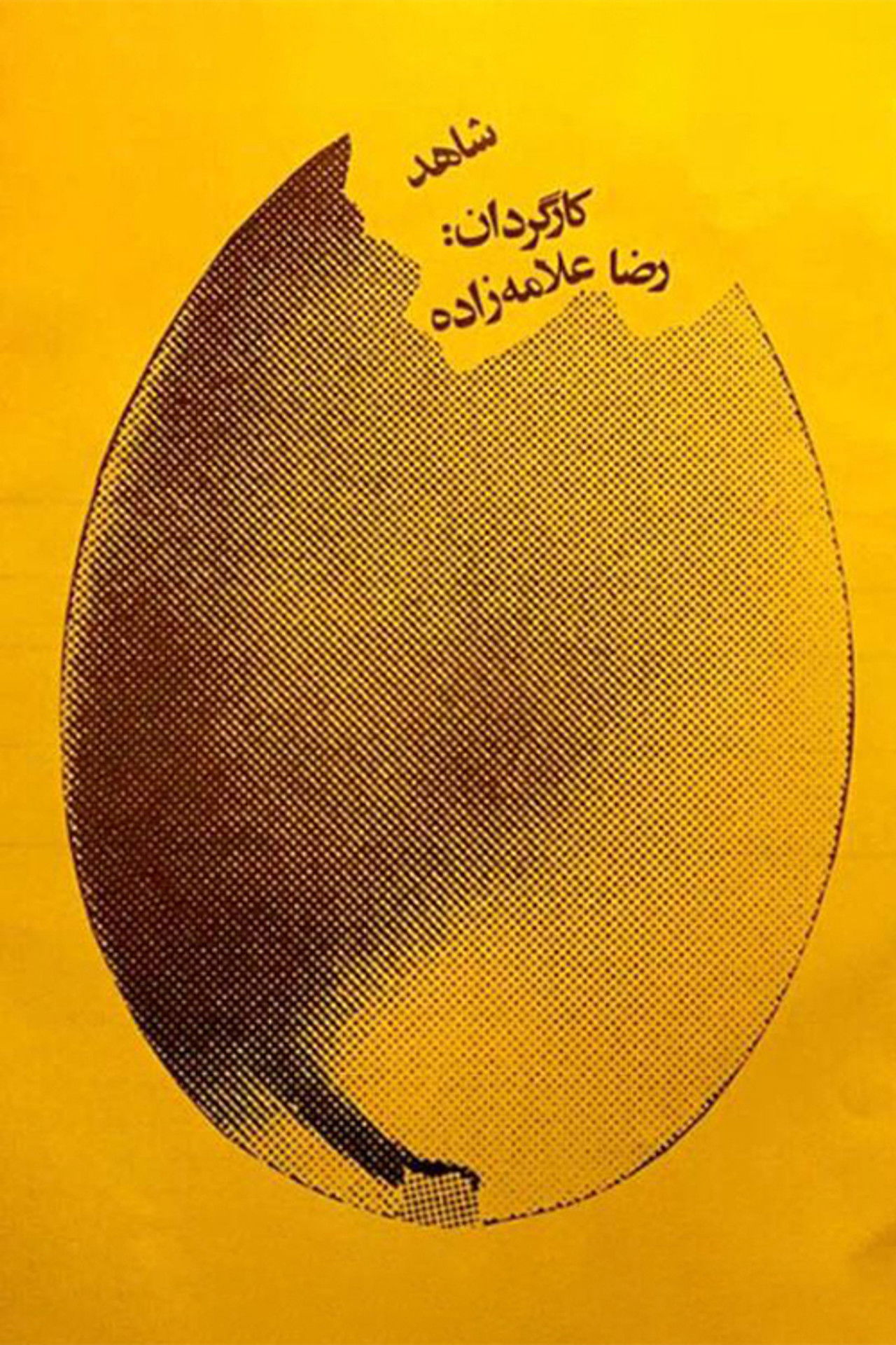 The Witness Backdrop