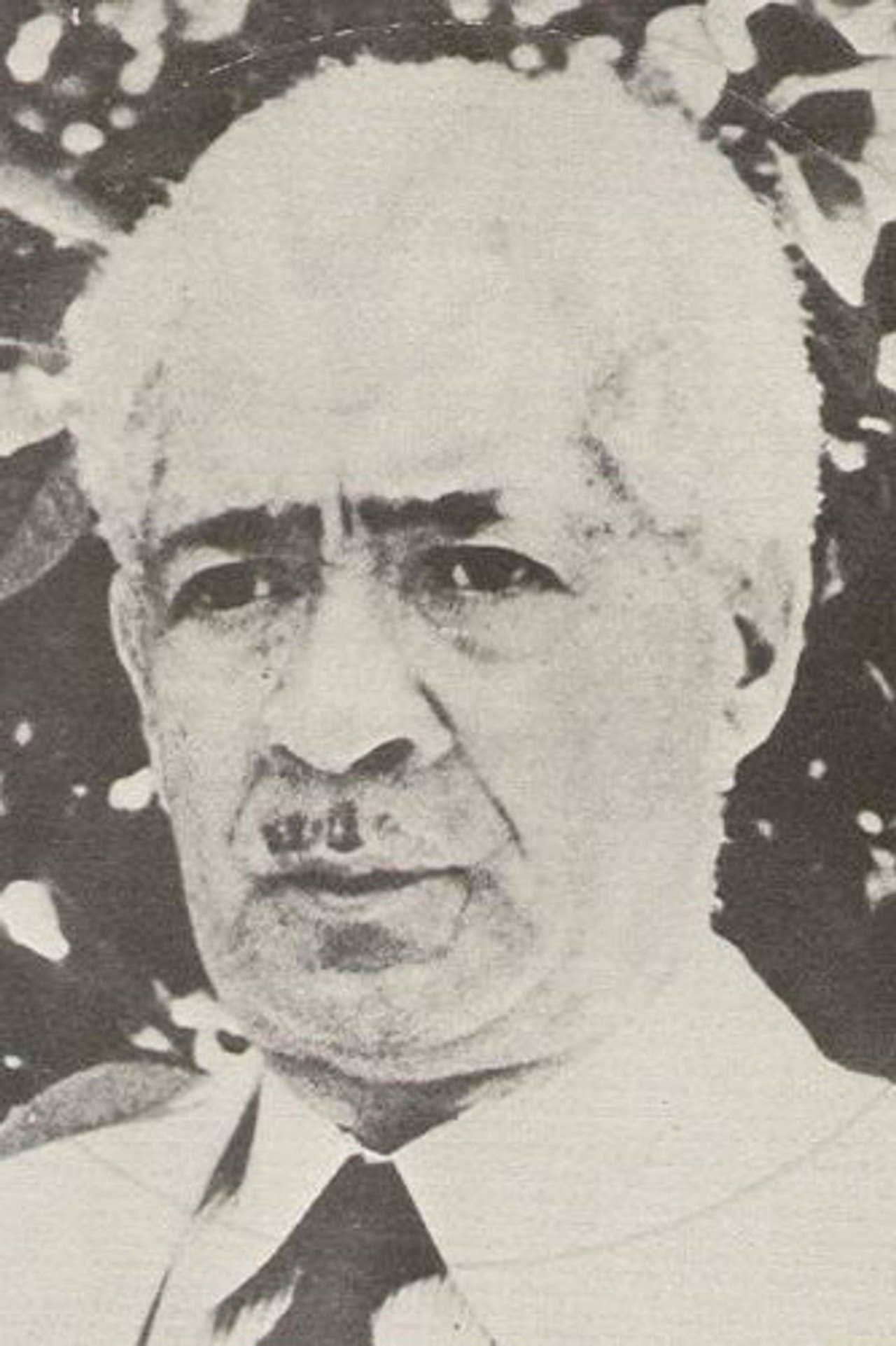 Will Marion Cook
