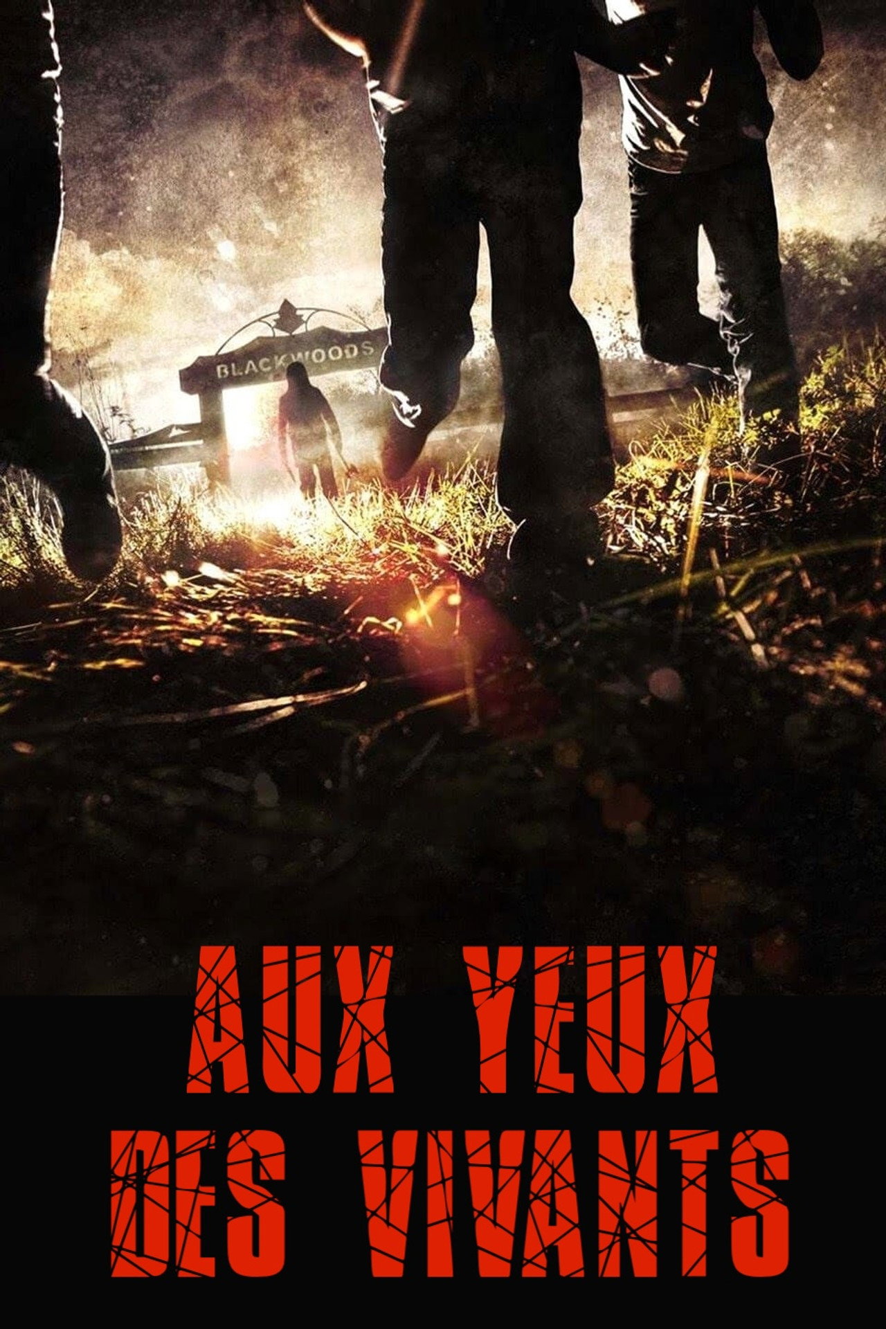 Aux yeux des vivants filmaffisch