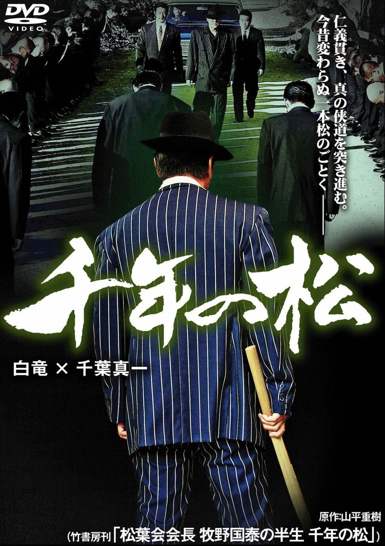 千年の松 千年の松