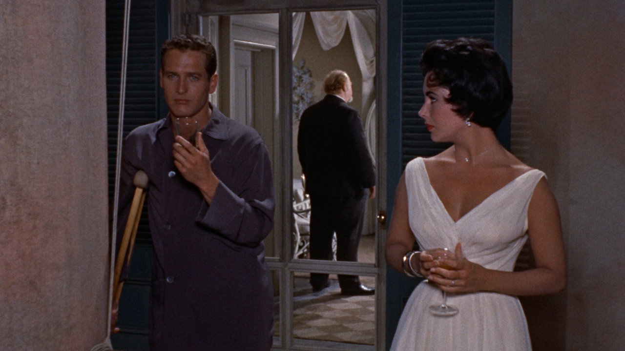 Cat on a Hot Tin Roof background 33