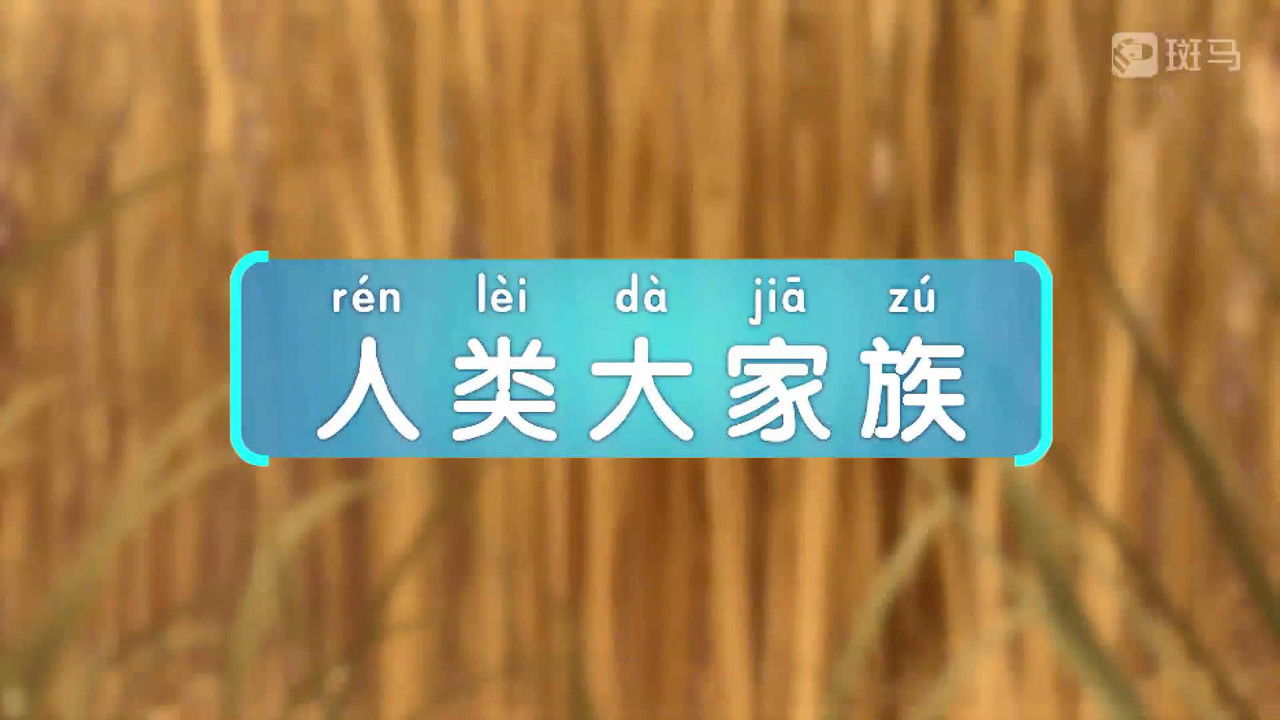 斑马百科 — Épisode 2