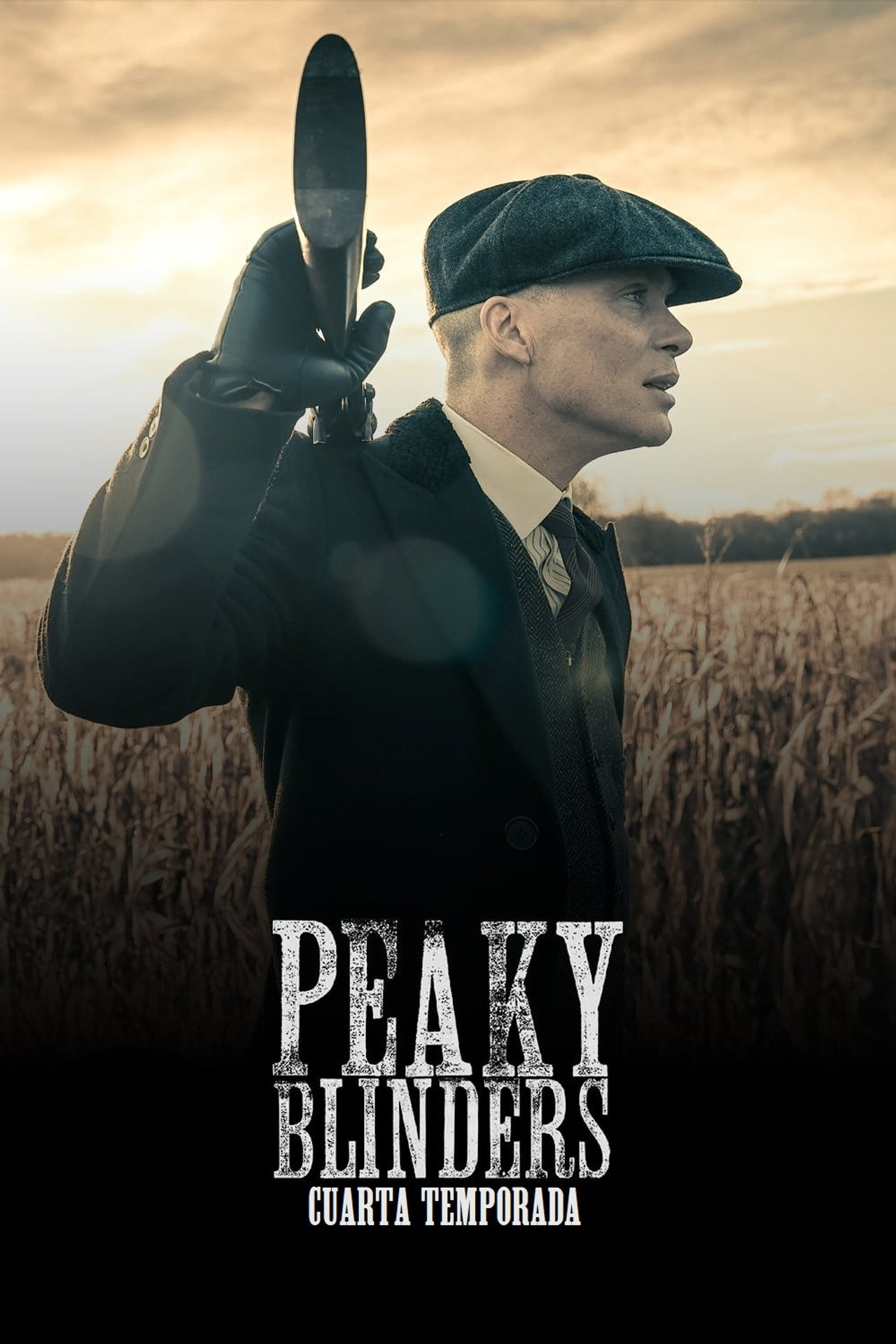 Peaky Blinders (2017) Hindi Season 4 Complete backdrop
