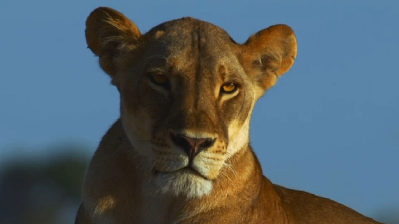 Pride Rules — Épisode 3