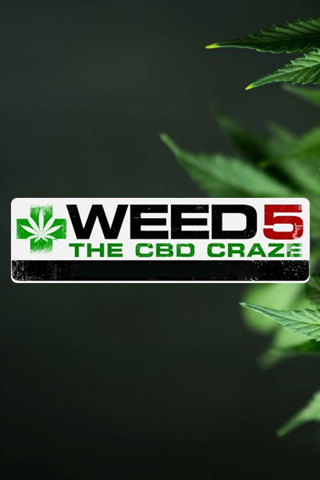WEED 5: The CBD Craze Backdrop