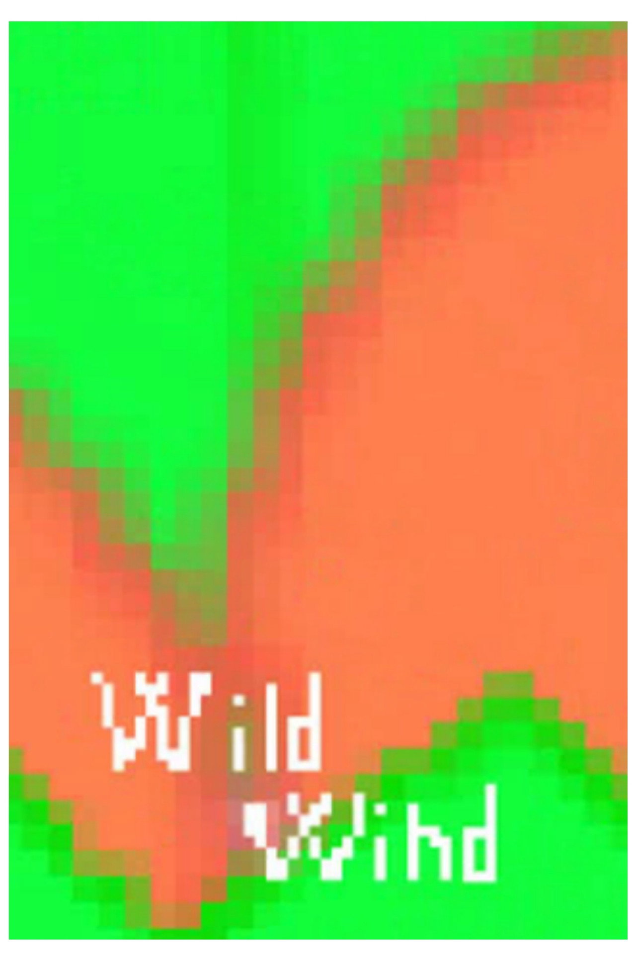 Wild Wind