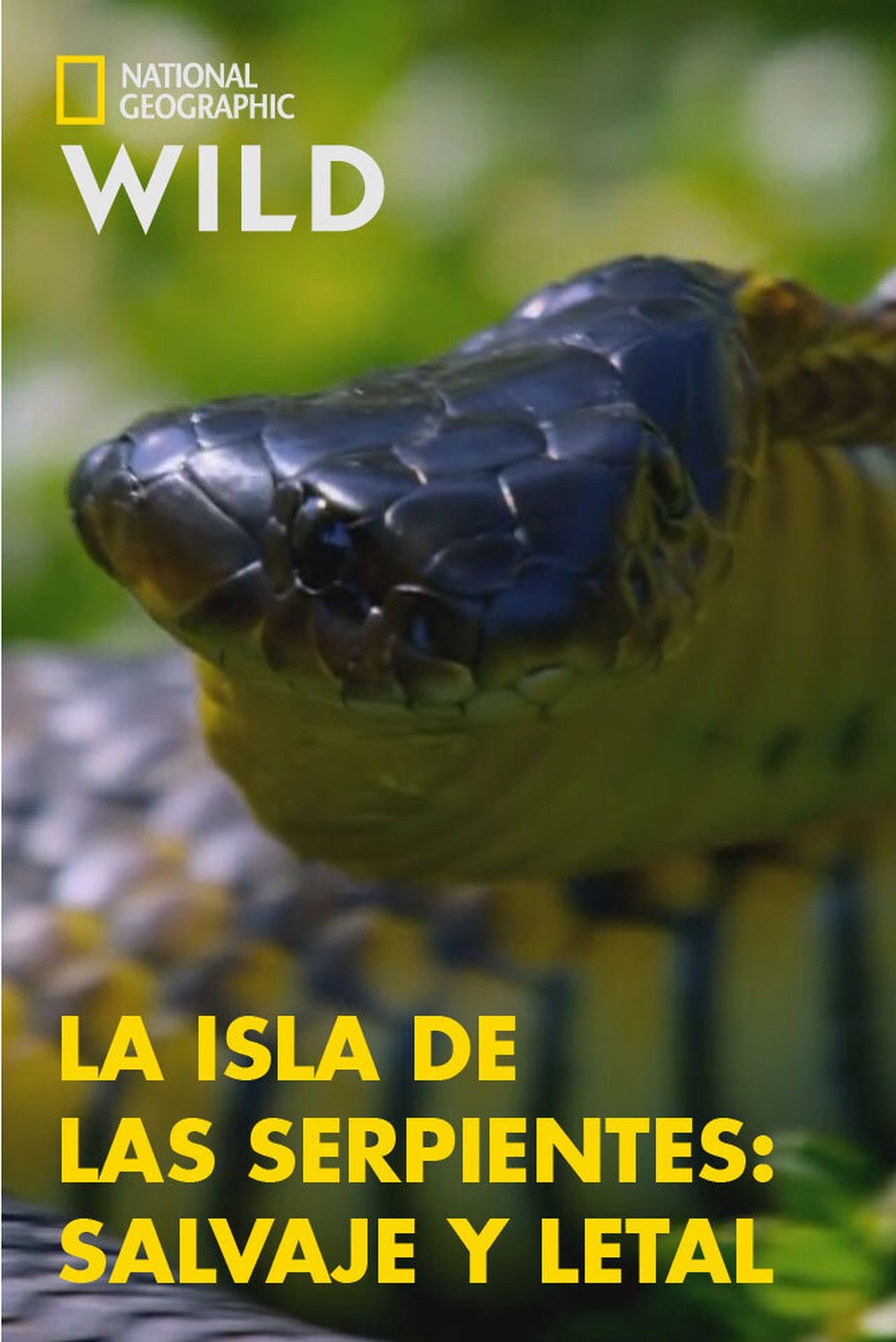 مشاهدة فيلم Snake Island: Wild & Deadly مترجم بدون اعلانات - بوستر