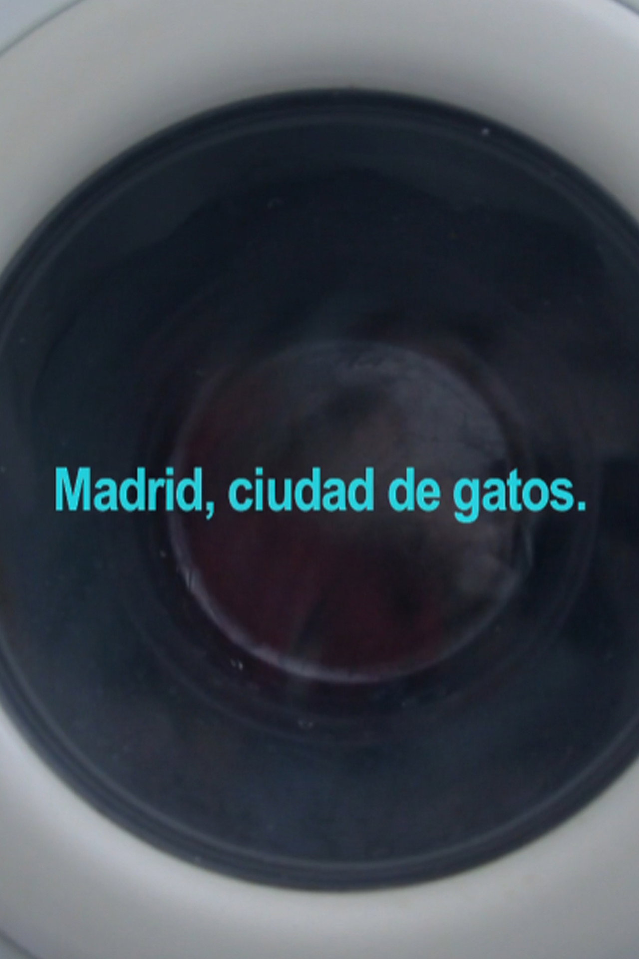 Madrid, ciudad de gatos filmaffisch