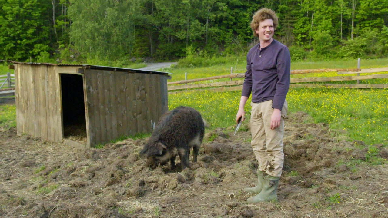 Farmen Kjendis — Épisode 11