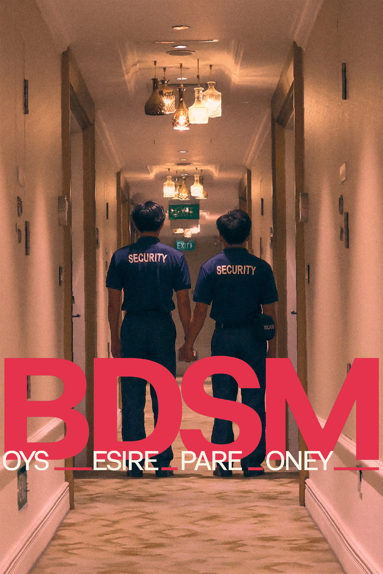 BDSM: Boys Desire Spare Money filmaffisch