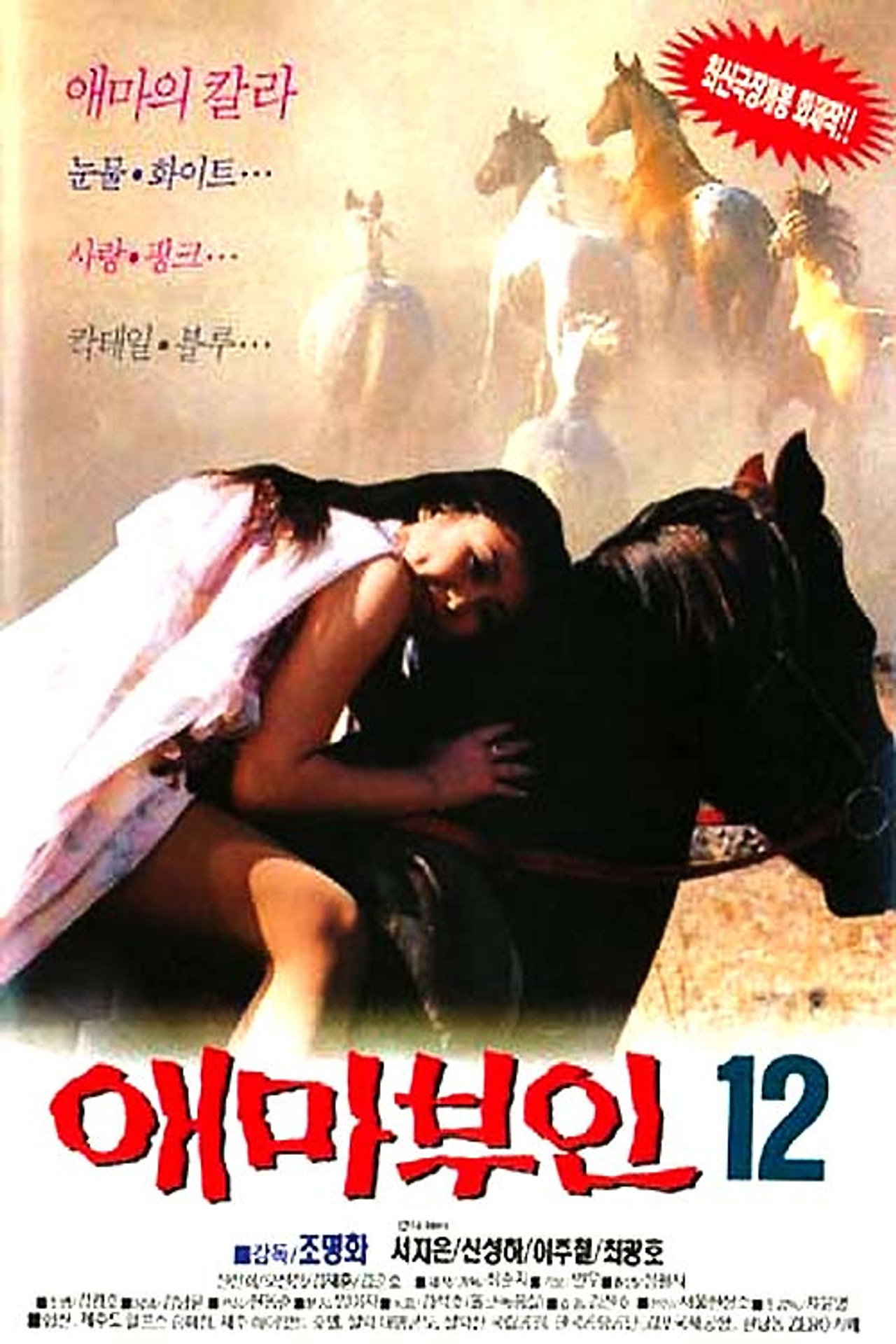 애마부인 12 filmaffisch