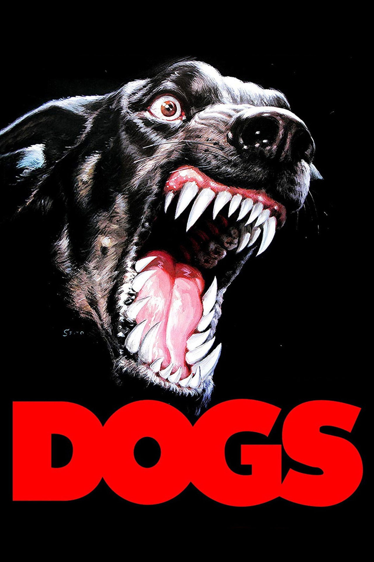 Dogs still 3