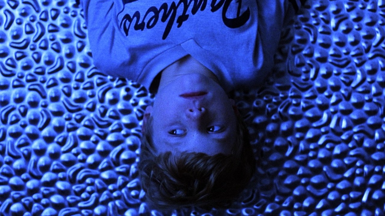 Mysterious Skin (2005)