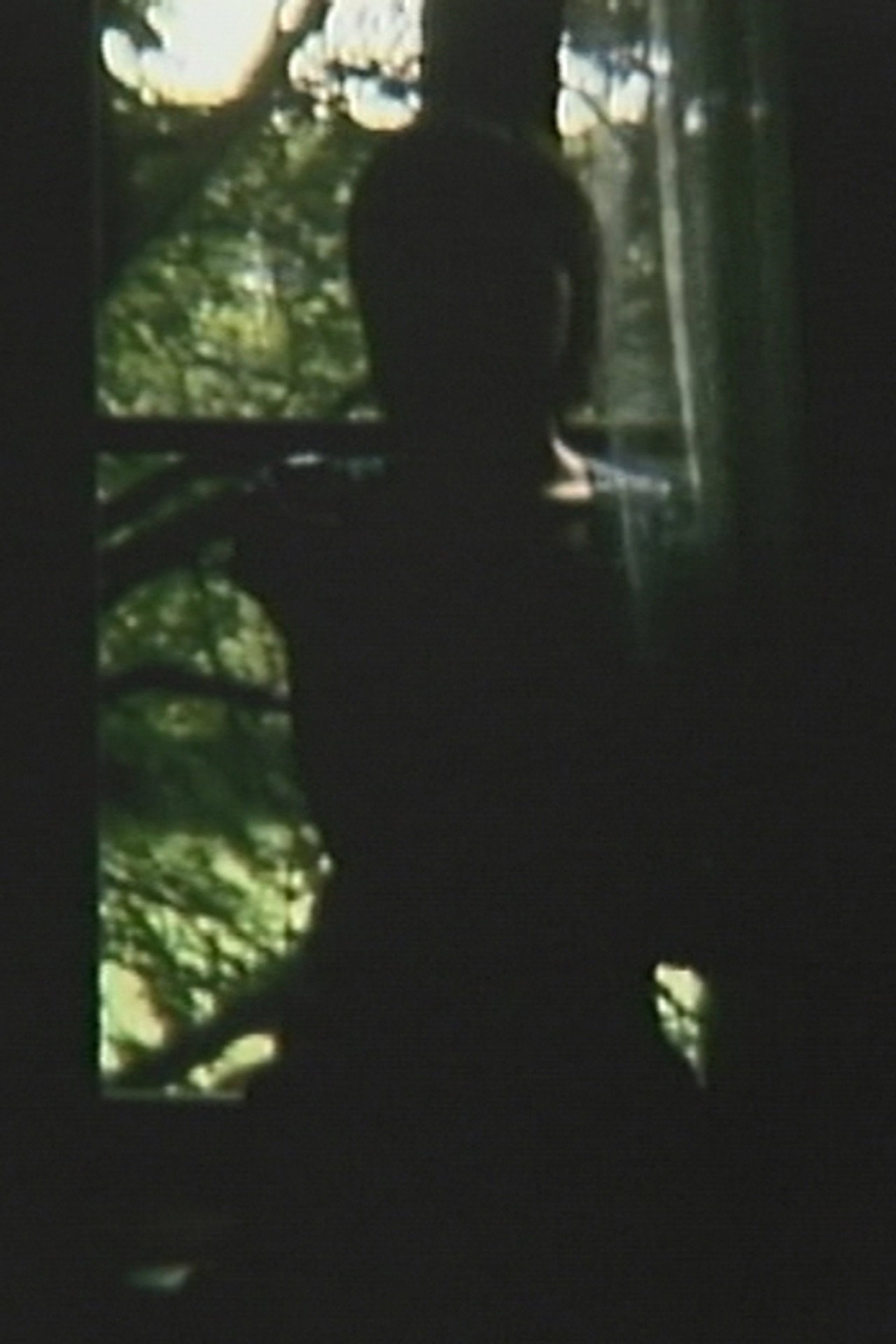 妹とブルックナー filmaffisch