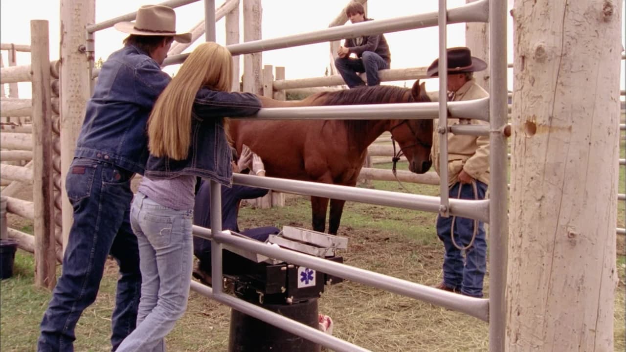 Heartland - Season 1 Episode 7 : Come What May