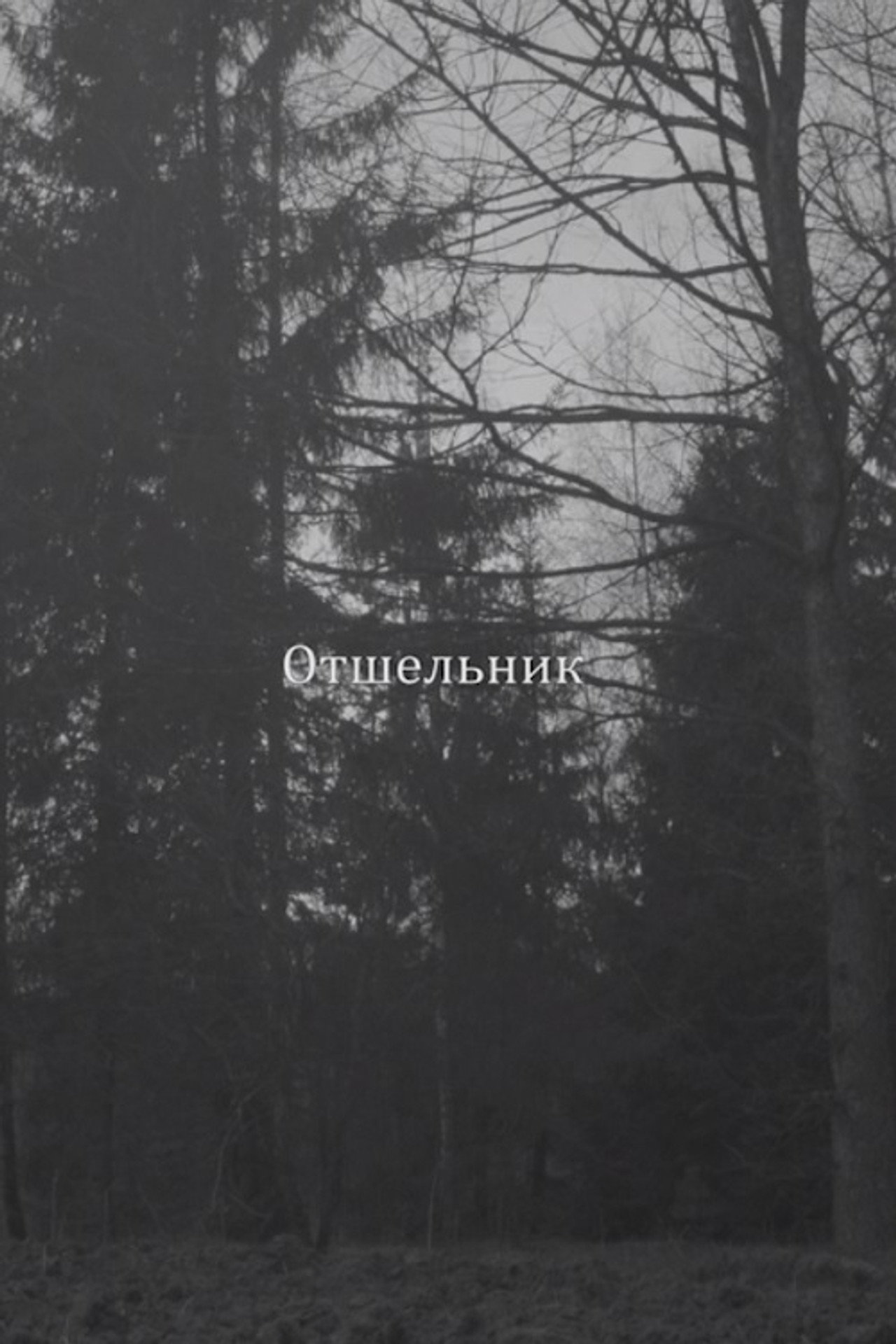 Отшельник filmaffisch