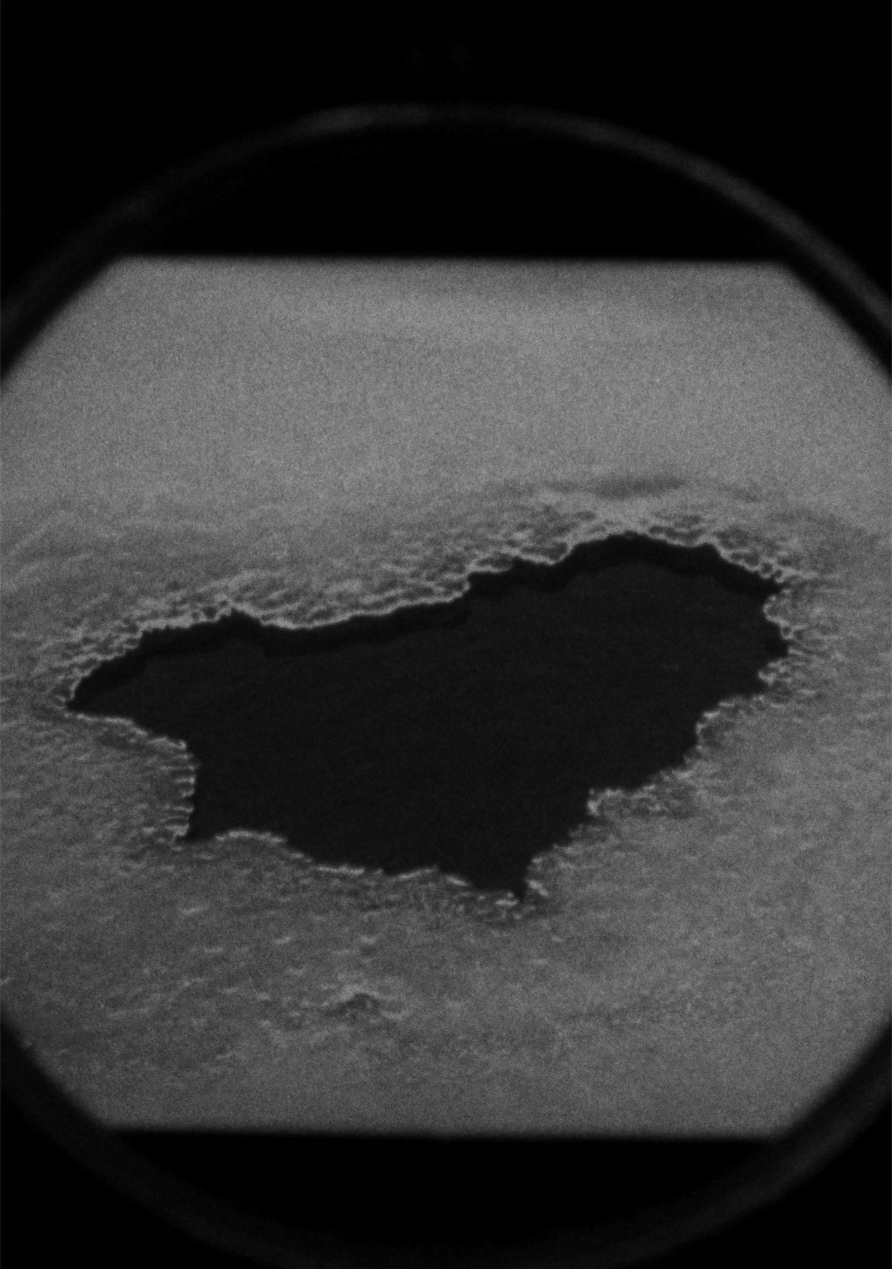 Polar filmaffisch