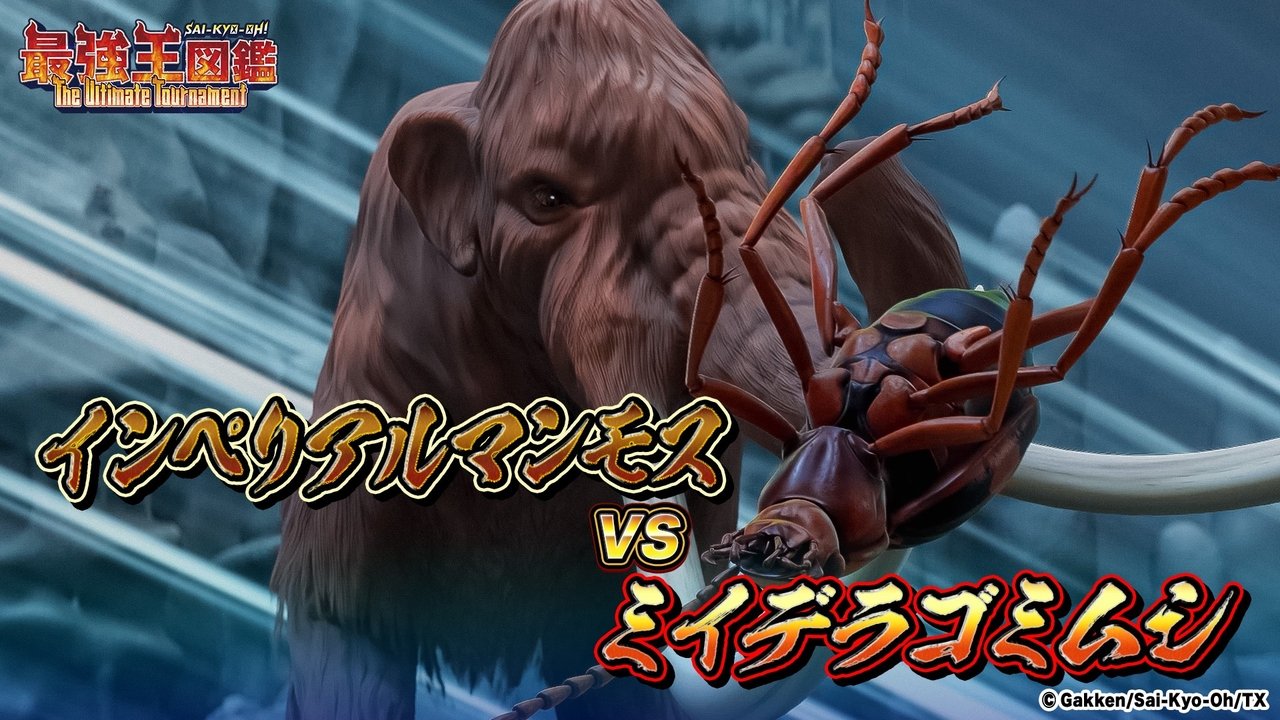 Sai-Kyo-Oh! Zukan - Season 2 Episode 10 : Blinder beetle VS Imperial Mammoth