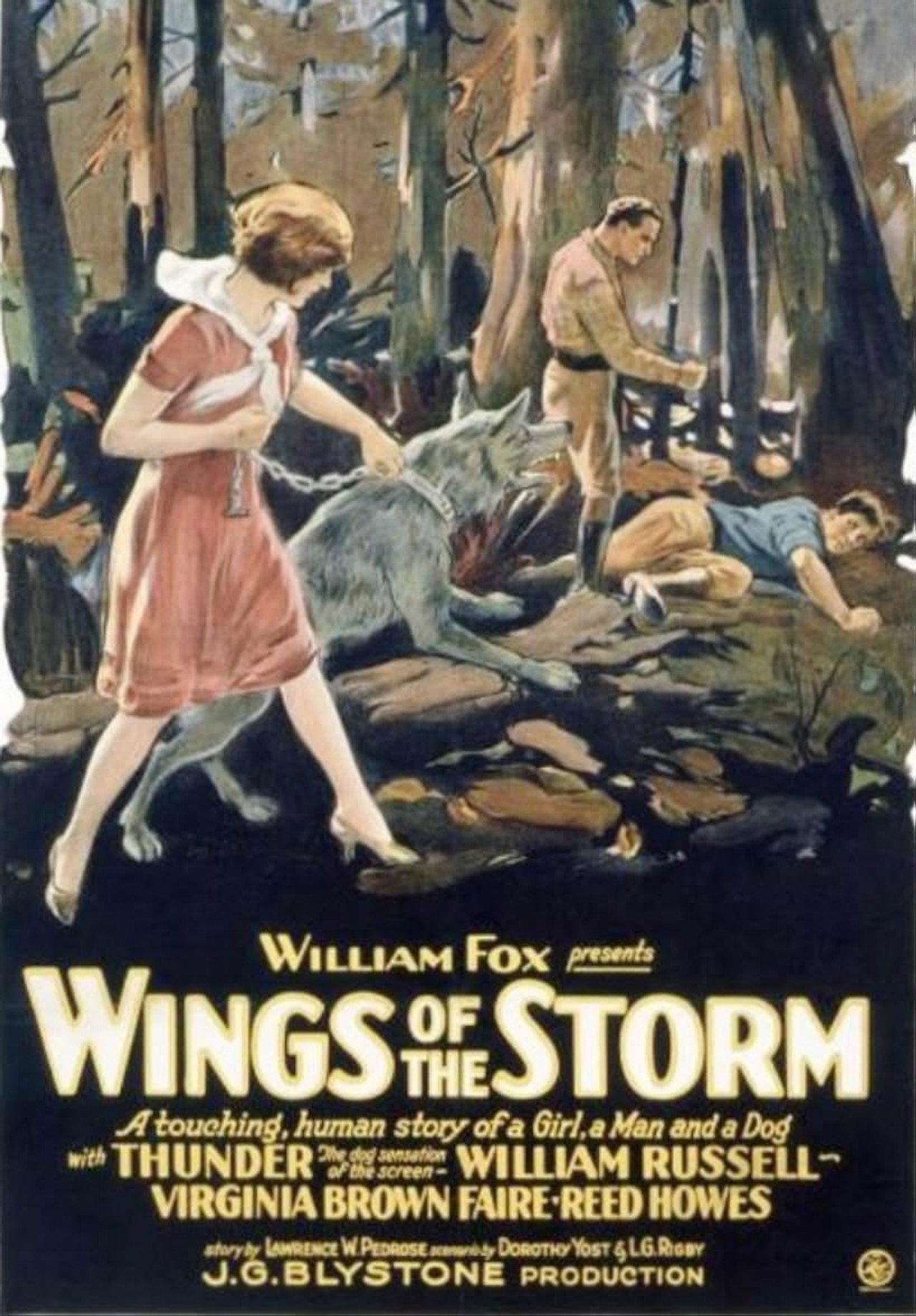 Wings of the Storm