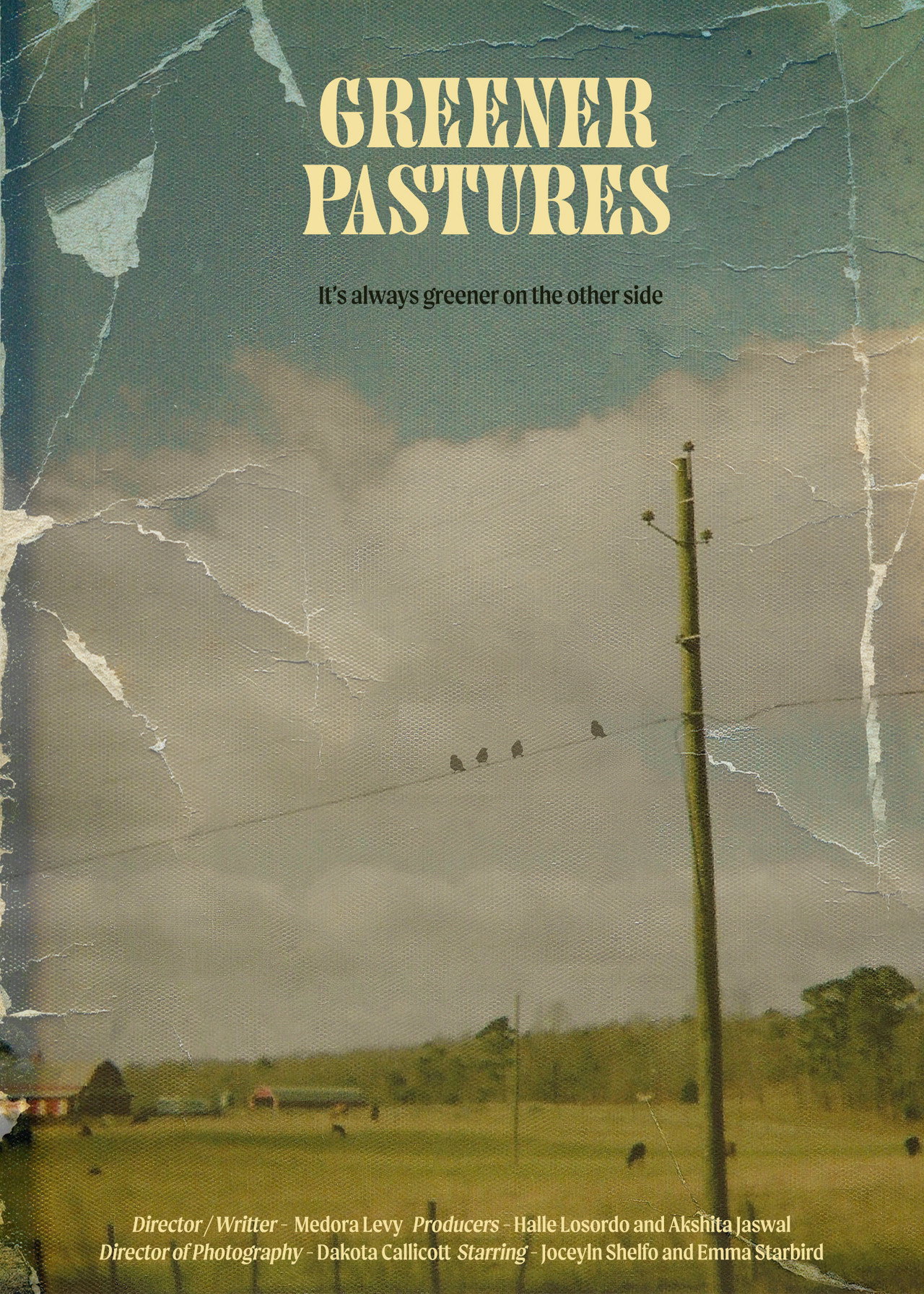 Greener Pastures filmaffisch