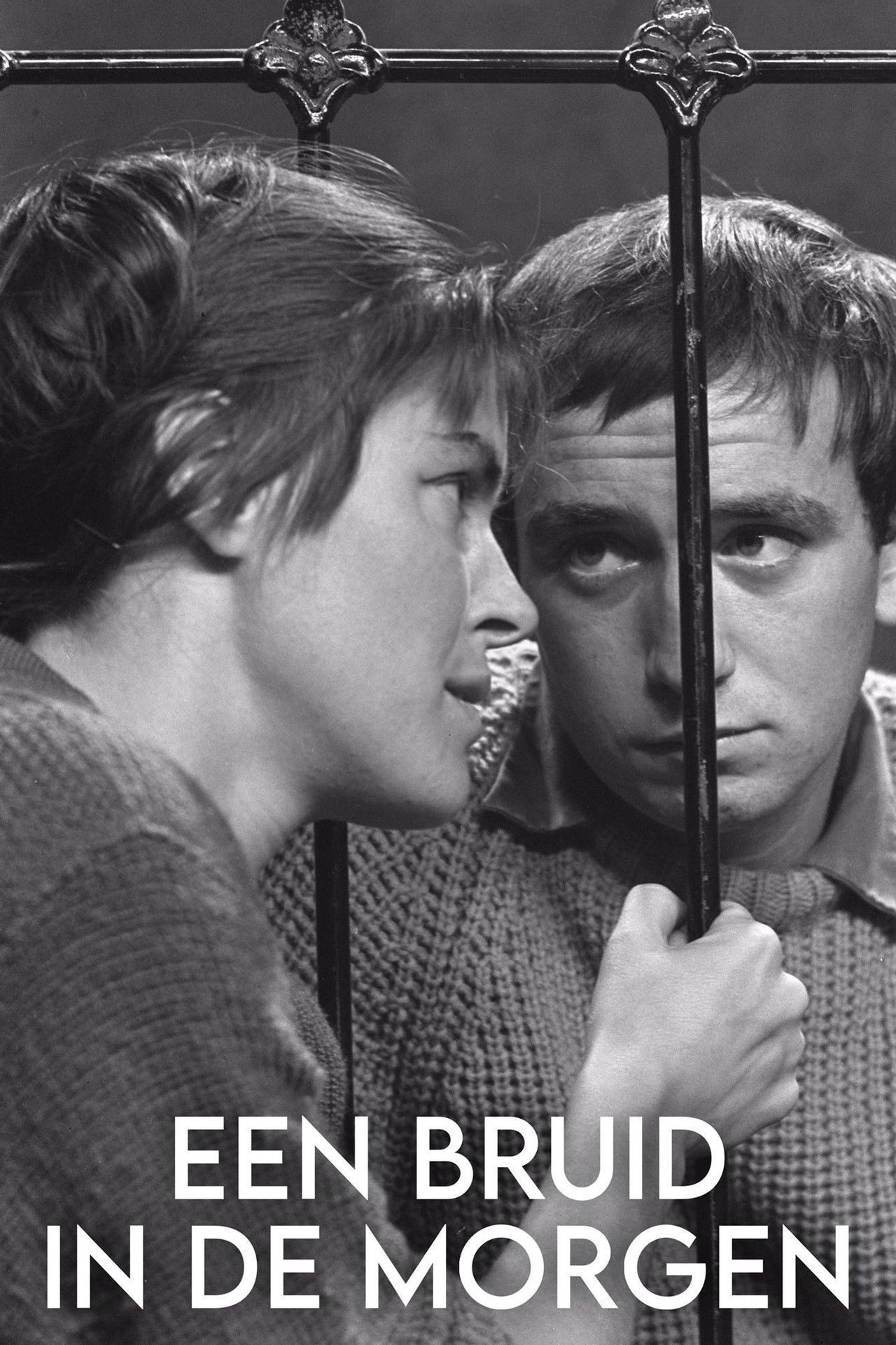 A Bride in the Morning Backdrop