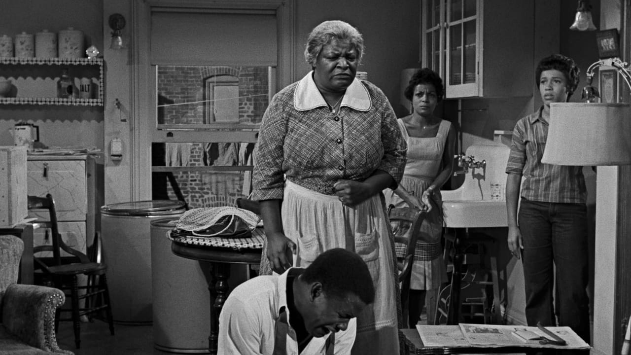 Cast and Crew of A Raisin in the Sun