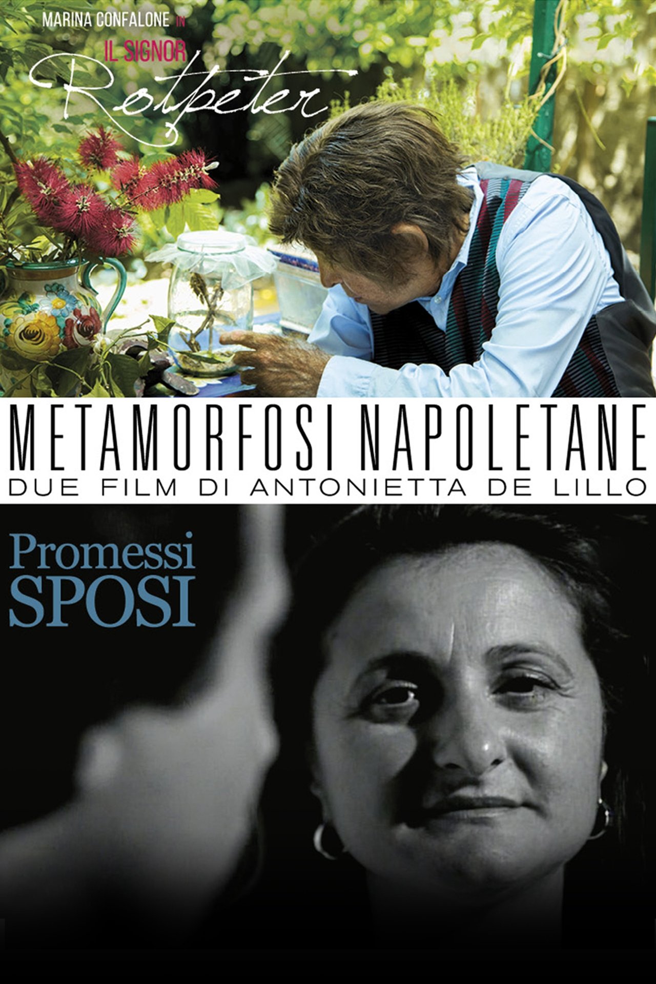 مشاهدة فيلم Metamorfosi Napoletane مترجم بدون اعلانات - بوستر