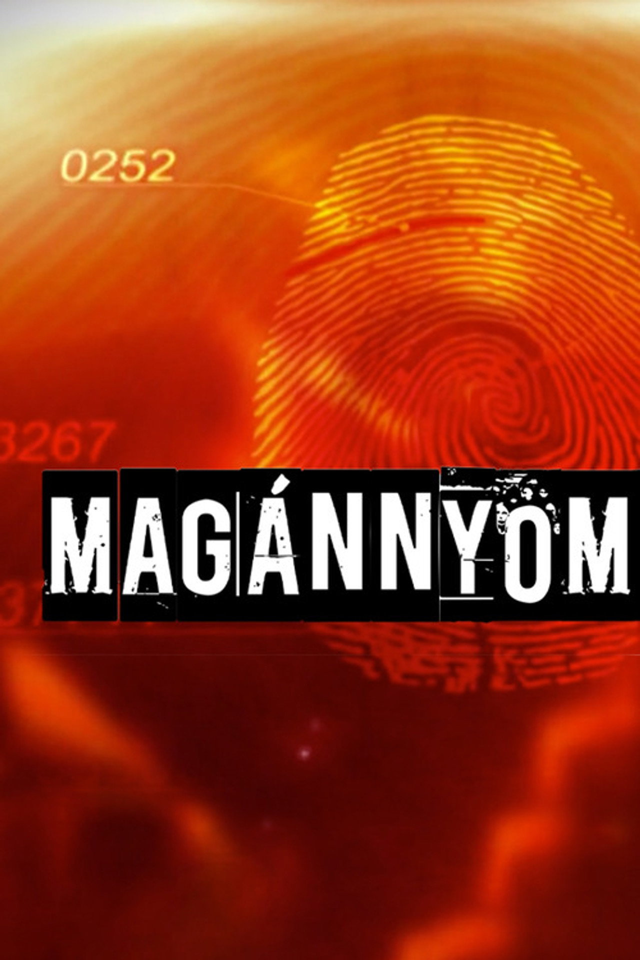 Magánnyomozók affisch